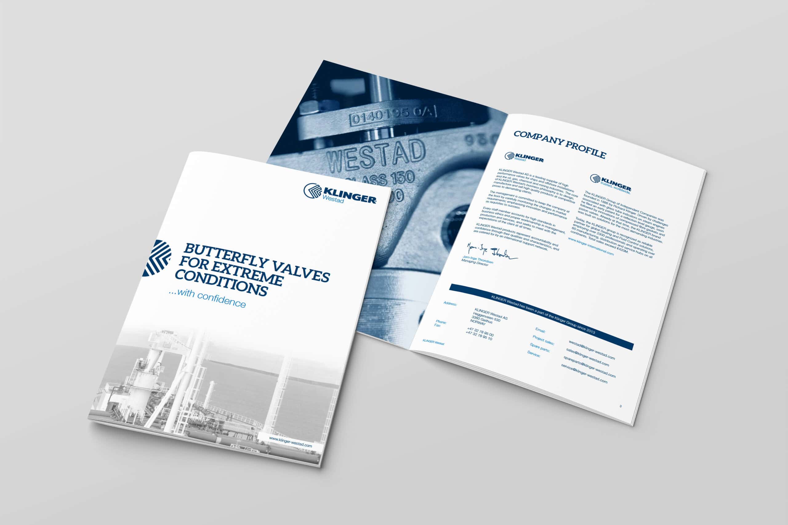 brochure mockup